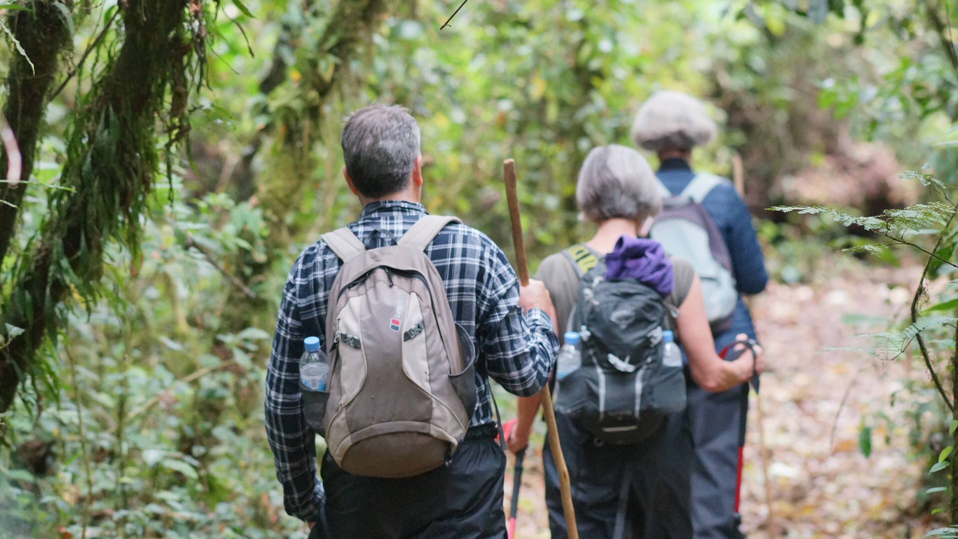 What to Wear for Gorilla Trekking in the Rainy Season