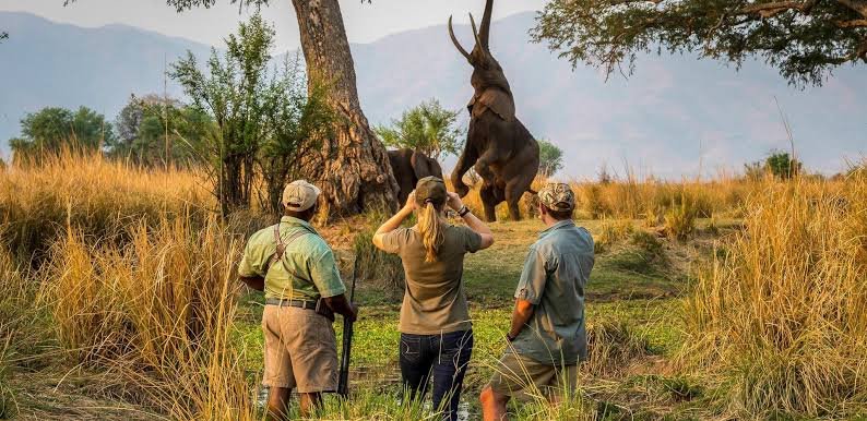 Akagera Walking Safaris Rwanda Experience