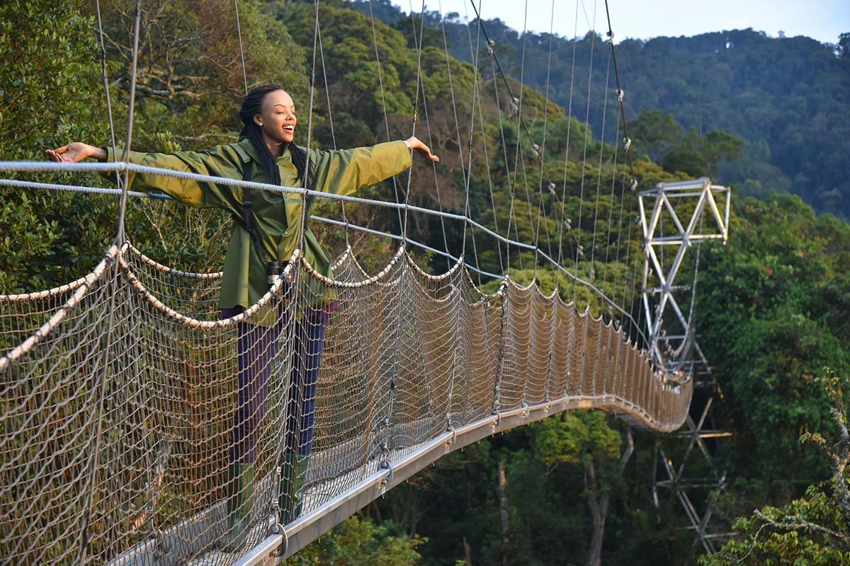 Canopy Walk in Nyungwe National Park Rwanda