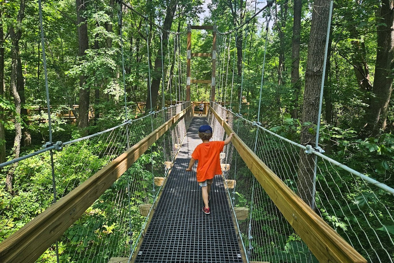 The canopy walkway is one of Rwanda’s most iconic tourism attractions and one of the most exciting highlights of any Canopy Walk and Chimpanzee Trekking safari. Suspended high above the ancient rainforest of Nyungwe National Park, the canopy walk offers visitors a unique opportunity to experience one of Africa’s oldest forests from a completely different perspective.
