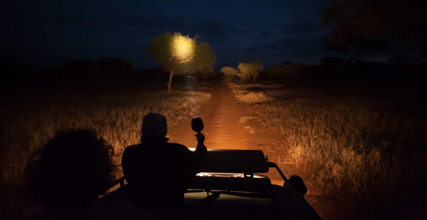 Night Game Drives in Rwanda Safari Experience