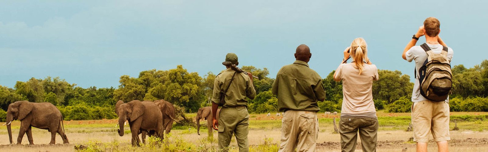 The experience of Akagera Walking Safaris is slow-paced, mindful, and deeply immersive, offering a completely different way to explore the savannah inside Akagera National Park. As visitors move quietly across open grasslands, woodland edges, and gently rolling slopes, every step reveals subtle details of the ecosystem that are often completely missed during traditional vehicle-based safaris.