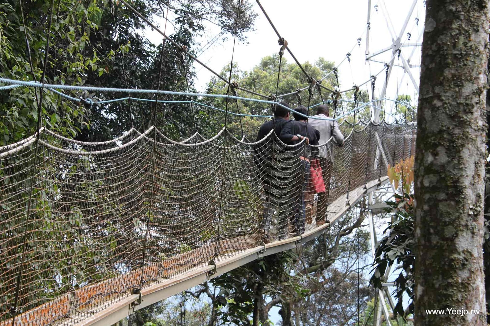 At Jovana Gorilla Safaris, we specialize in creating tailor-made Rwanda Luxury Holidays that combine exclusivity, comfort, and unforgettable wildlife experiences in one seamless journey. Our focus is to design high-end safari itineraries that reflect your travel style, whether you are seeking a once-in-a-lifetime gorilla trekking adventure, a romantic honeymoon escape, a Big Five wildlife safari, or a complete luxury Rwanda circuit that covers the country’s most iconic destinations.