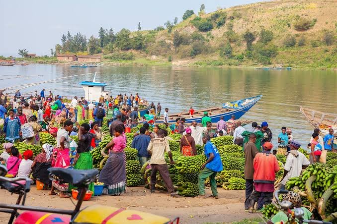 While the primary focus of Lake Kivu Relaxation Holidays is rest and tranquility, the destination also offers a range of gentle and meaningful activities that enhance the experience without disrupting its peaceful atmosphere. Every activity along Lake Kivu is designed to complement relaxation rather than replace it.