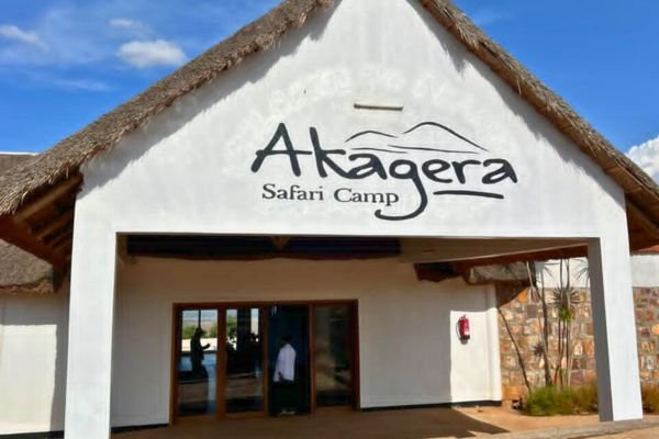 While Rwanda is internationally recognized for its luxury mountain gorilla trekking lodges near Volcanoes National Park, including famous properties such as Bisate Lodge, Akagera Safari Camp offers a completely different experience. Instead of volcanic forests and gorilla habitats, guests enjoy Rwanda’s savannah ecosystem, where elephants, lions, rhinos, buffaloes, giraffes, and numerous other wildlife species roam freely.