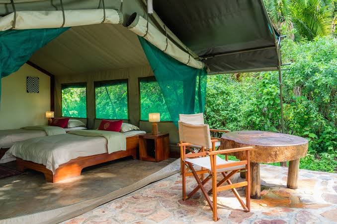 Accommodation at Ruzizi Tented Lodge consists of a small collection of beautifully appointed luxury safari tents that provide the perfect balance between wilderness adventure and modern comfort. Designed to offer complete privacy while maintaining close contact with nature, each tent creates an intimate sanctuary overlooking the magnificent landscapes of Akagera National Park.