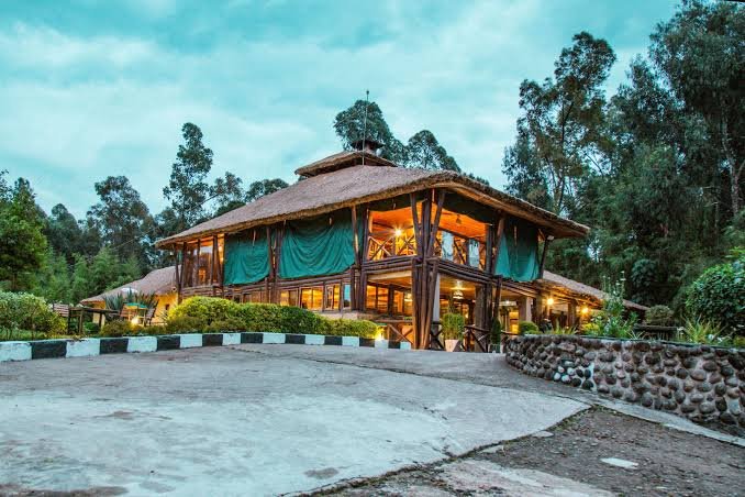 Da Vinci Gorilla Lodge enjoys an excellent location in Kinigi, the gateway to Volcanoes National Park in Rwanda's Northern Province. Positioned within easy reach of the park headquarters, the lodge offers one of the most convenient bases for mountain gorilla trekking while surrounding guests with magnificent views of the Virunga Mountains and Rwanda's beautiful countryside.