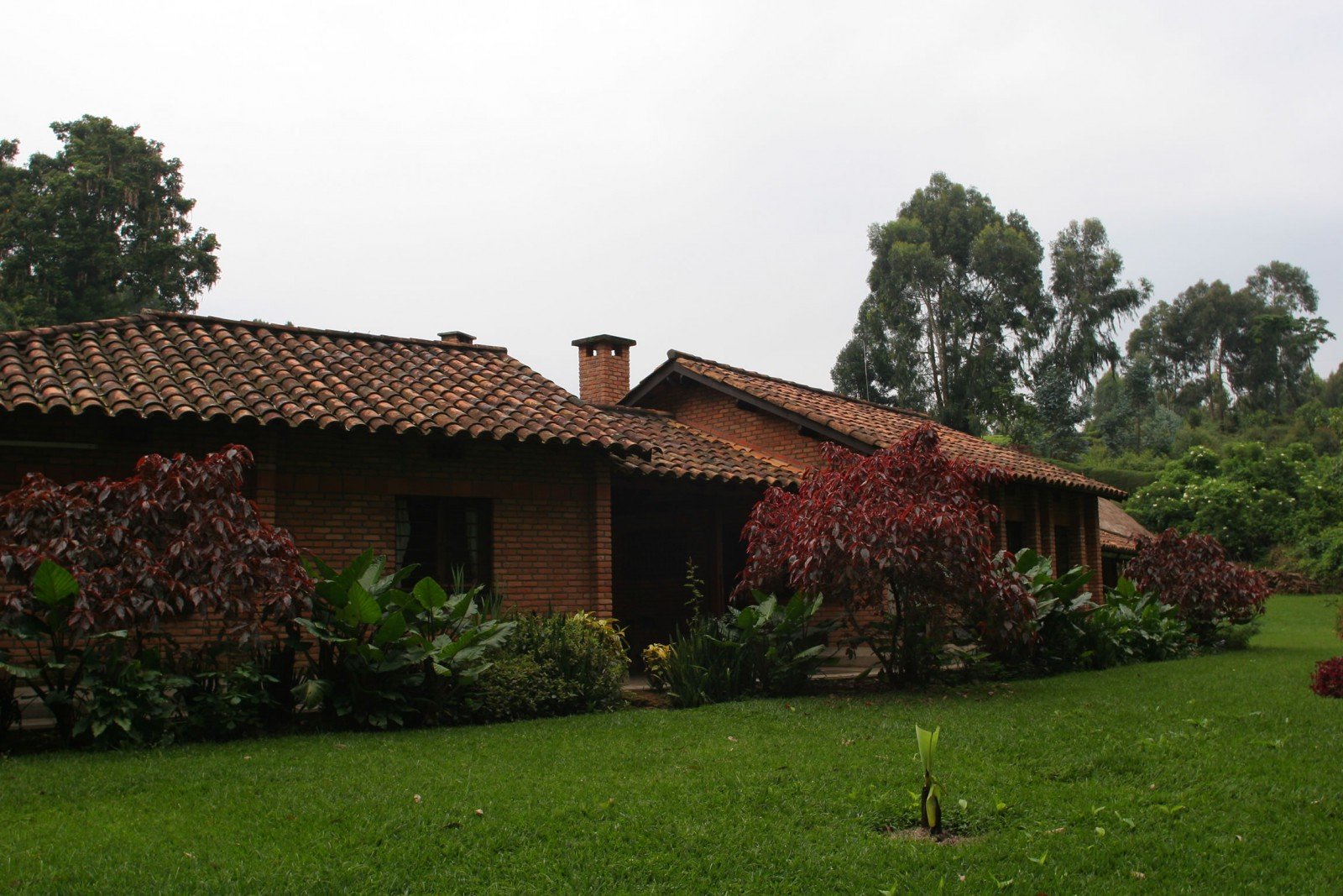 Gisakura Guest House is ideally located near the Gisakura Reception Centre of Nyungwe National Park, making it one of the closest accommodation options for visitors exploring the park's southern sector. Its strategic location allows guests to enjoy quick access to many of Nyungwe's most popular activities while remaining surrounded by beautiful tea plantations and tropical rainforest.
