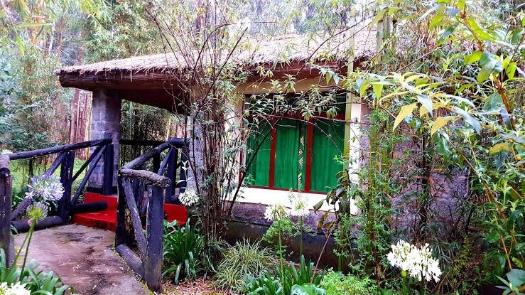 Le Bambou Gorilla Lodge Front View