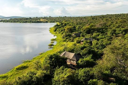 Choosing Magashi Camp offers travelers one of the most exclusive safari experiences available anywhere in East Africa. The camp's intimate atmosphere, exceptional guiding, luxury accommodation, and remarkable wildlife viewing make it a favorite among honeymooners, photographers, conservation travelers, families, and luxury safari enthusiasts.