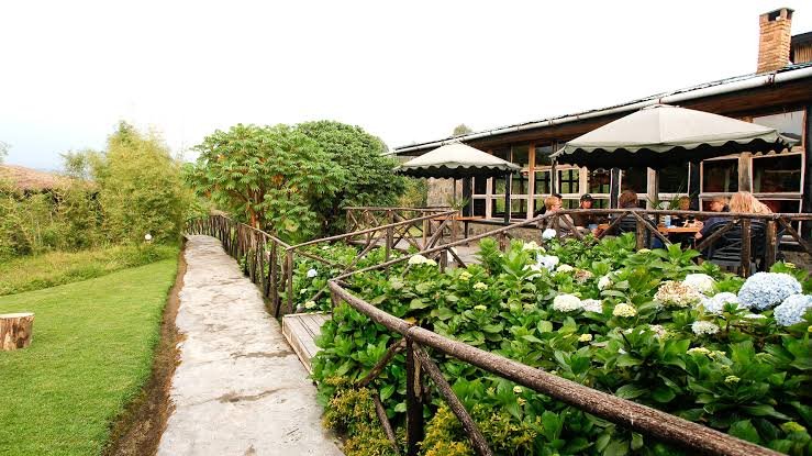 Mountain Gorilla View Lodge Exterior