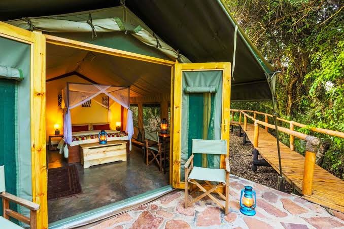 The architecture of Ruzizi Tented Lodge beautifully demonstrates how luxury hospitality can coexist harmoniously with environmental conservation. Every structure has been thoughtfully positioned beneath mature indigenous trees to preserve the surrounding ecosystem while maximizing privacy and spectacular lake views.