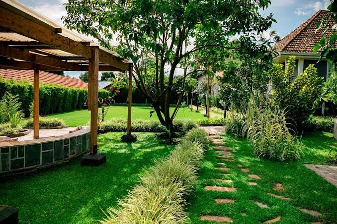 Tiloreza Volcanoes Ecolodge Compound