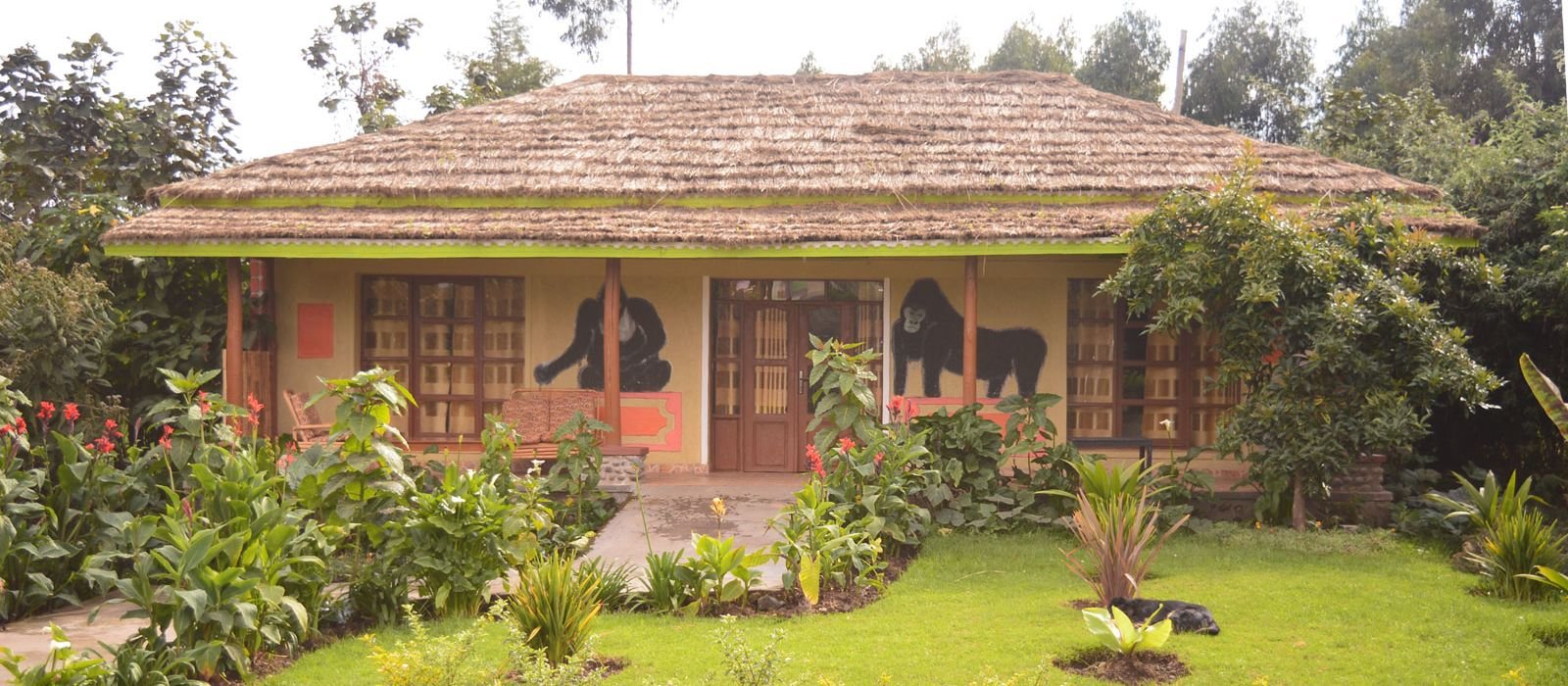 Villa Gorilla Lodge enjoys an exceptional location in Kinigi, the gateway to Volcanoes National Park and one of Rwanda's most important tourism destinations. Situated in Rwanda's Northern Province, the lodge lies approximately two and a half hours by road from Kigali International Airport, providing convenient access for international visitors while placing them within minutes of the country's most famous wildlife experiences.