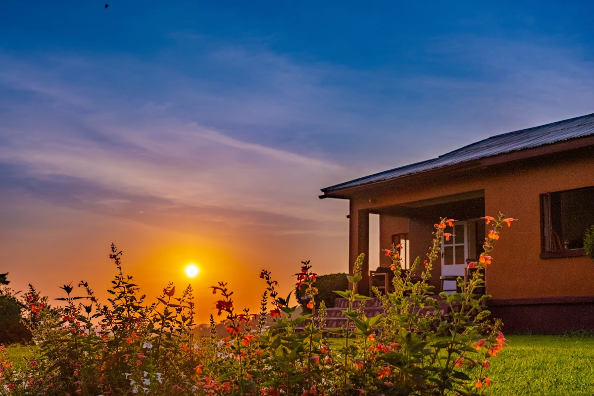 Booking your stay at Emerald Nyungwe Lodge with Jovana Gorilla Safaris guarantees a seamless, professionally organized, and unforgettable Rwanda safari experience. As specialists in tailor-made wildlife safaris and luxury travel across Rwanda, we handle every aspect of your journey, allowing you to fully enjoy the beauty of Nyungwe National Park while relaxing in one of the country's most elegant rainforest lodges.