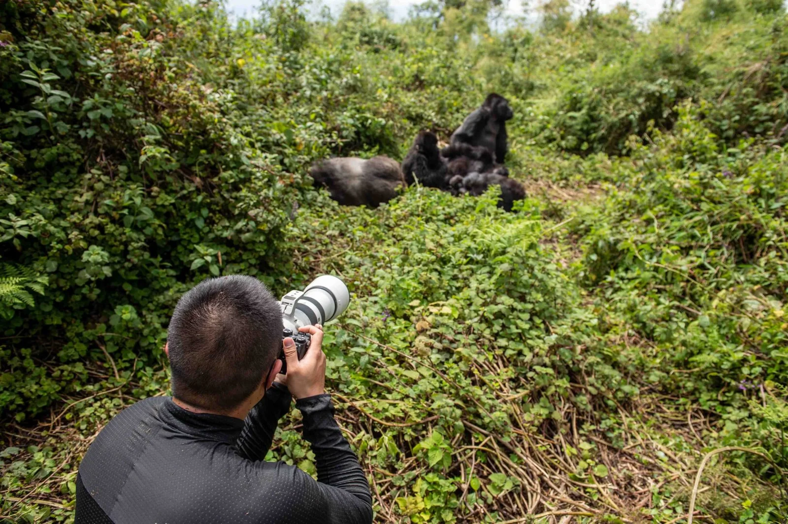 Photography Safaris